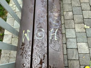 Adelenblick Schmierfinken IV