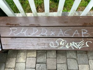 Adelenblick Schmierfinken V