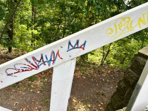 Adelenblick Schmierfinken VI