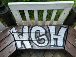 Adelenblick Schmierfinken VII